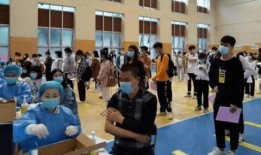 林教头最新爆料消息视频,最新爆料视频深度解析